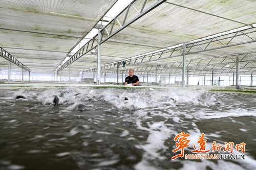 寧遠 工廠化循環水養魚，助力村民增收與畜牧業飼料升級