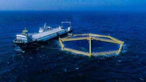 深遠海綠色養殖新篇章 青島獲批國家級試驗區，畜牧漁業飼料迎發展良機